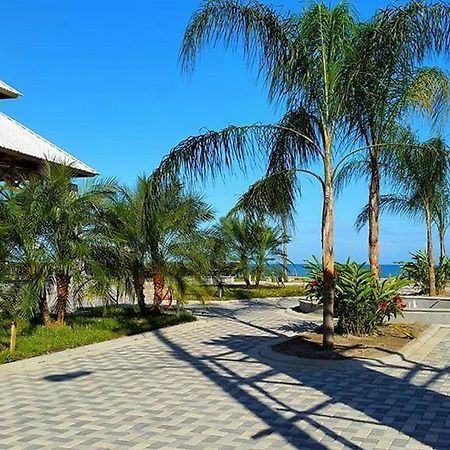 Uw Oasis Hotel Ла-Сейба Екстер'єр фото